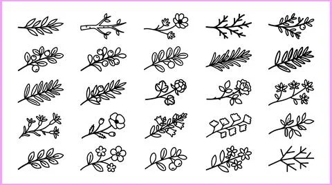 Collection of Hand-Drawn Botanical Elements and Floral Sprigs. イラスト素材