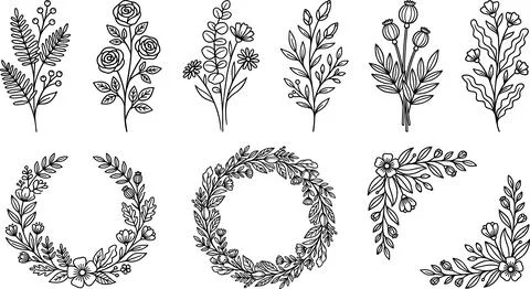 Collection of Hand-Drawn Botanical Elements and Wreaths. Stockillustratie