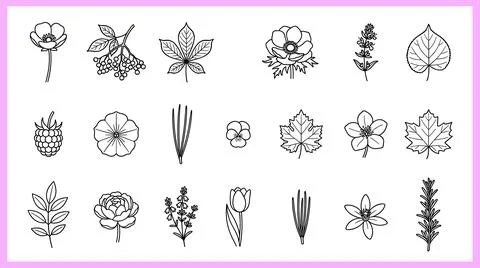 Collection of Hand-Drawn Botanical Illustrations and Floral Elements. Stock Illustration