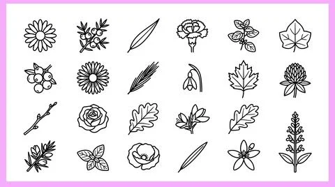 Collection of Hand-Drawn Botanical Illustrations and Floral Elements. Stock Illustration