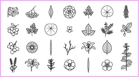 Collection of Hand-Drawn Botanical Illustrations and Floral Elements. Stock Illustration