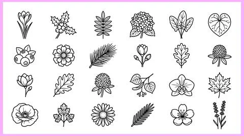 Collection of Hand-Drawn Botanical Illustrations and Floral Elements. Stock Illustration