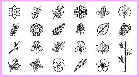 Collection of Hand-Drawn Botanical Illustrations and Floral Icons. Ilustración de archivo