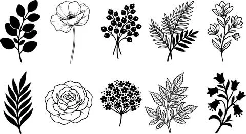 Collection of Hand-Drawn Botanical Illustrations and Floral Elements. Stockillustratie