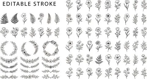 Collection of Hand-Drawn Botanical Illustrations and Floral Elements. Stock Illustration