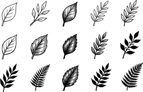 Collection of Hand-Drawn Botanical Leaf Illustrations in Sketch Style. Illustrazione stock