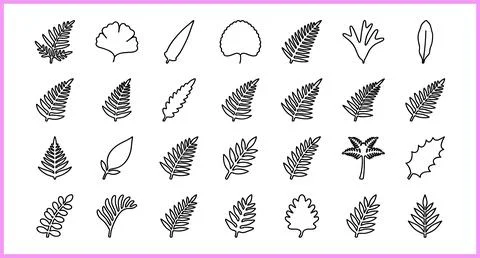 Collection of Hand-Drawn Botanical Leaf Illustrations. Stock Illustration