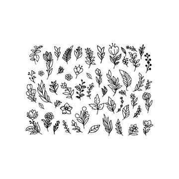 Collection of Hand-Drawn Floral Elements. Vector icon. Stock Illustration