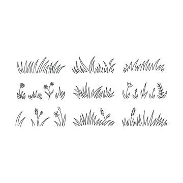 Collection of hand drawn grass and wildflower for nature themed Stock Illustration