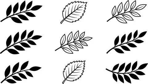 Collection of Hand-Drawn Leaf and Branch Illustrations. Illustration