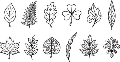 Collection of Hand-Drawn Leaf Illustrations in Black and White. Ilustração Stock