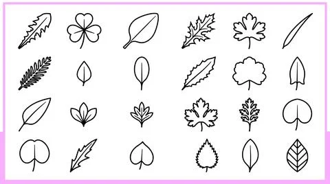 Collection of Hand-Drawn Leaf Silhouettes and Icons. Stock Illustration