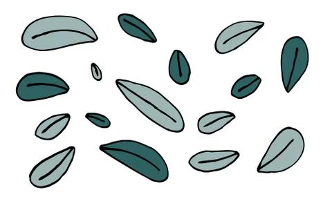 Collection of hand drawn leaves Stock Illustration