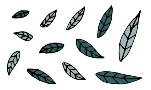 Collection of hand drawn leaves Stock Illustration