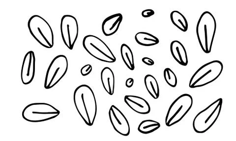 Collection of hand drawn leaves Stock Illustration