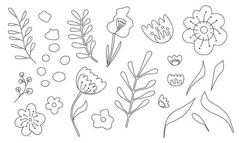 Collection of hand drawn line botanical elements. Vector illustration. Stock Illustration
