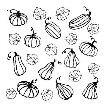 A collection of hand-drawn pumpkins and gourds intertwined with leaves Stock Illustration