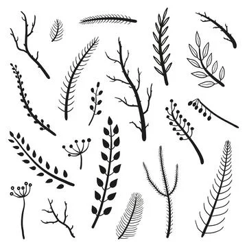 Collection of hand drawn twigs. Stock Illustration