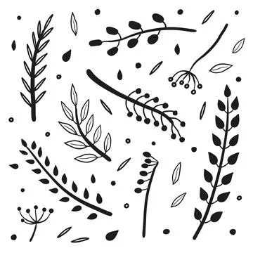 Collection of hand drawn twigs. Stock Illustration