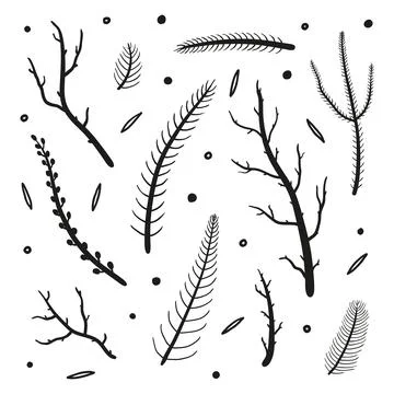 Collection of hand drawn twigs. Stock Illustration