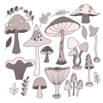 Collection of hand drawn vector EPS 10 mushrooms. Stock Illustration