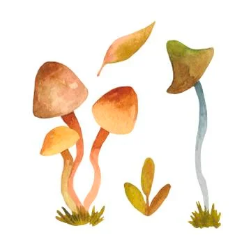 Collection of hand drawn vector EPS 10 mushrooms. Stock Illustration