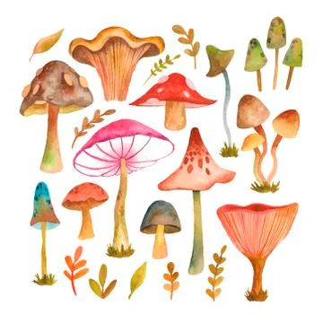 Collection of hand drawn vector EPS 10 mushrooms. Stock Illustration