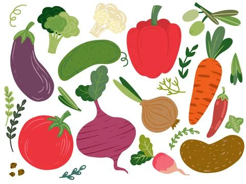 Collection hand drawn vegetables. Vector illustration Stock Illustration