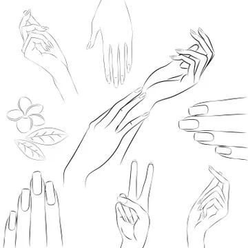 Collection of hands in various gestures, manicure and beauty con Stock-Illustration