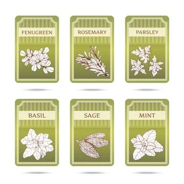 Collection of herbs labels Stock Illustration
