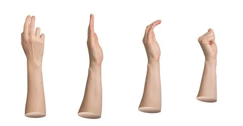 Collection of human hand gestures with different finger positions isolated on Stock Photos