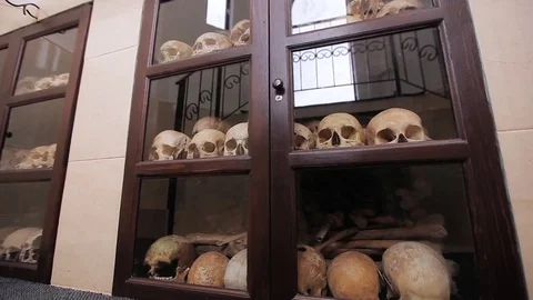 Collection of human skulls Video stock 72729257