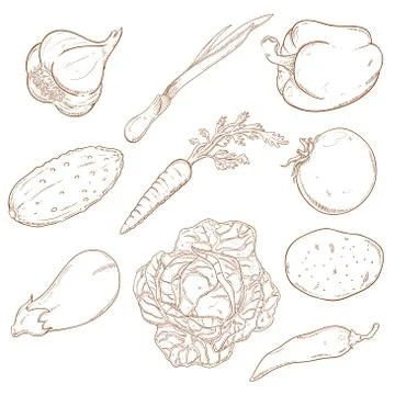 Collection of icons with vegetables Stock Illustration