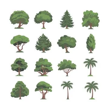 Collection of Illustrations Featuring Various Types of Trees and Palm Trees Stock Illustration