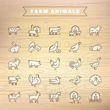 Collection of illustrations in flat style, well drawn and isolated on wooden Stock Illustration