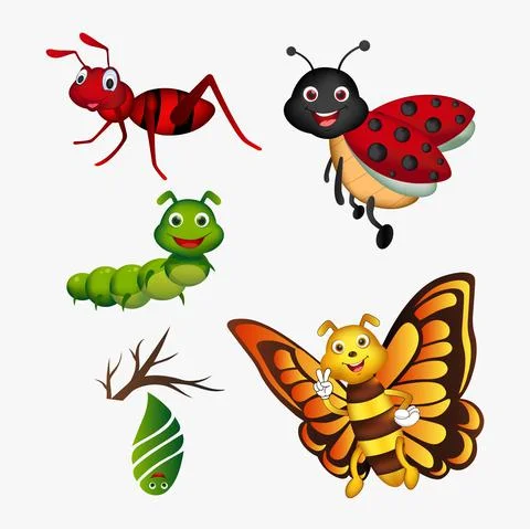Collection of insect cartoon design. Pack of bug cartoon design icon concept. Stock Illustration