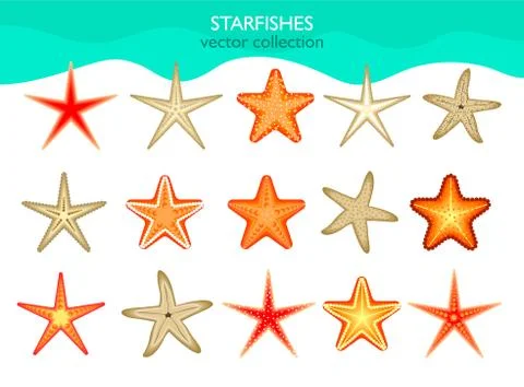 Collection of isolated starfish. Vector illustration. Stock Illustration