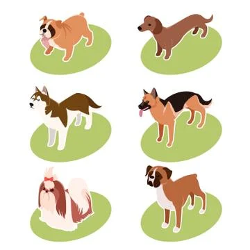 Collection of isometric dogs Stock Illustration