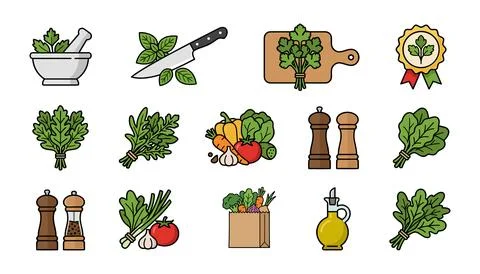 Collection of kitchen herbs and cooking tools flat illustration Vector Stock Illustration