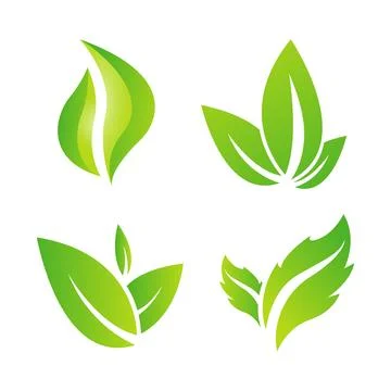 Collection of Leaf Logo Vector Templates Symbolic Design Elements Stock Illustration