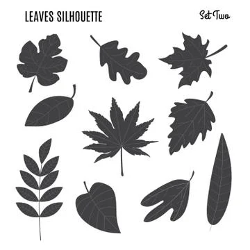 Collection of leaf silhouettes Stock Illustration