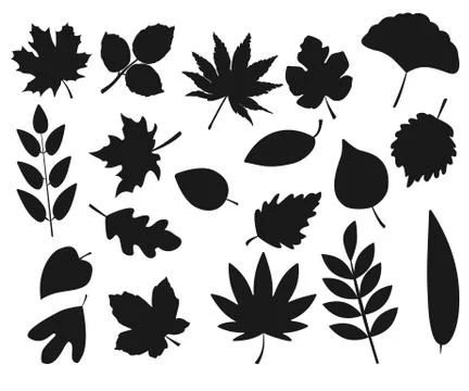 Collection of leaf silhouettes Stock Illustration