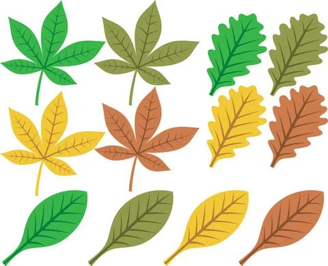 Collection of leaf silhouettes Stock Illustration