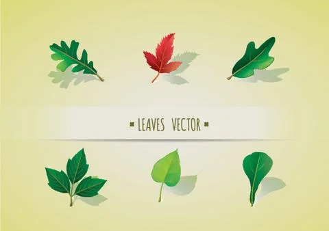 Collection Of Leaves Stock-Illustration