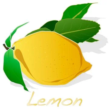 Collection of lemon fruit illustrations Stock Illustration
