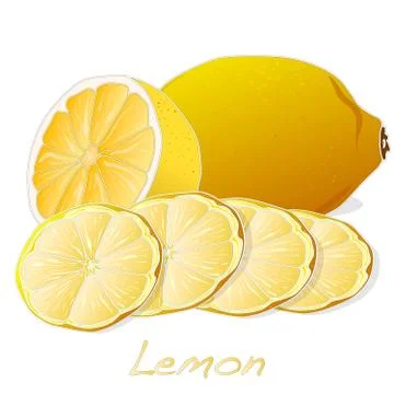Collection of lemon fruit illustrations Stock Illustration