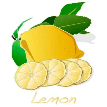 Collection of lemon fruit illustrations Stock Illustration