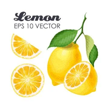 Collection of lemons Stock Illustration