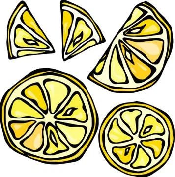 Collection of Lemons, Isolated on White Background, Doodle Style Vector Stock Illustration