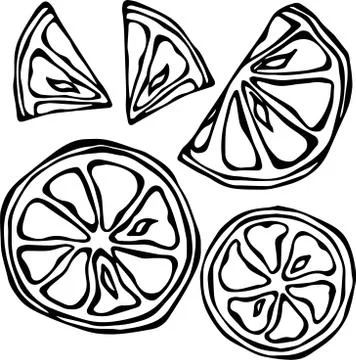 Collection of Lemons, Isolated on White Background, Doodle Style Vector Stock Illustration